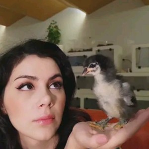 NadegeCaubry0001 spoofed photo banned on handispace.org